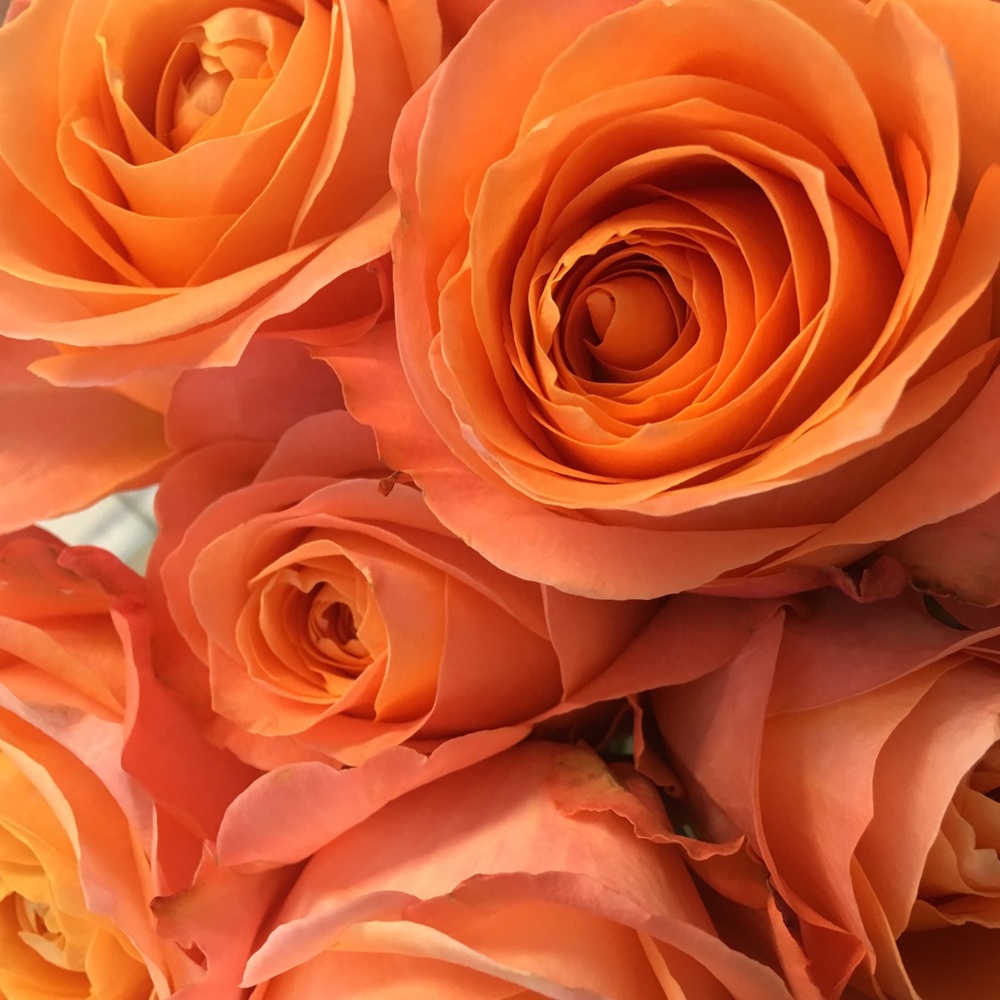 Meet your Posher, Melissa